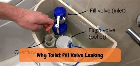 Why Toilet Fill Valve Leaking: Discovering the Reasons!