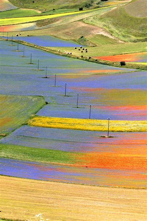 Fioritura Castelluccio Norcia fioritura altopiano Castelluccio ...