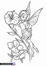 Tinker Bell Coloring Sheets  Free Printable coloring Pages sketch template