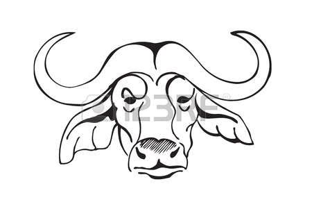 Buffalo Outline Drawing | Free download on ClipArtMag