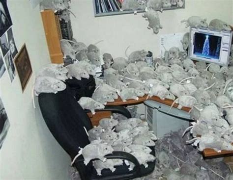 Ten of the Very Best April Fools Office Pranks Ever Pulled