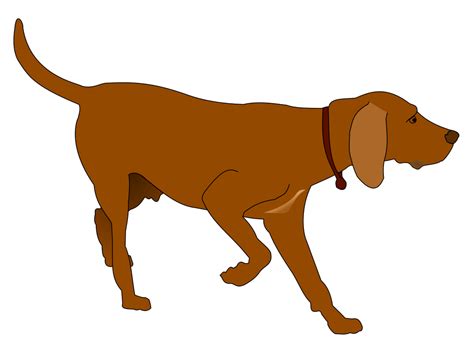 Clipart dogs gsp, Clipart dogs gsp Transparent FREE for download on ...