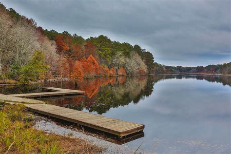 Hinson Lake Photograph by Jimmy McDonald - Fine Art America