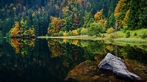 Selva Negra Schwarzwald - Guía Blog Alemania