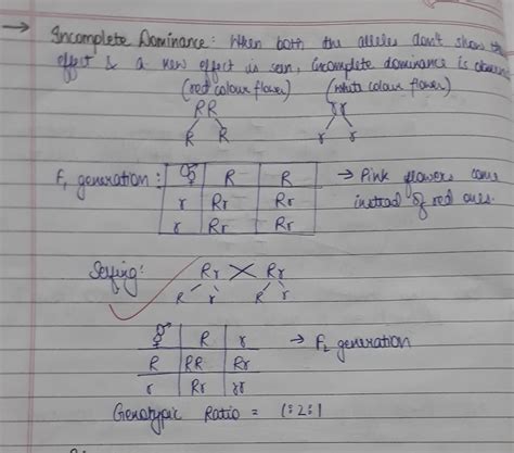 Draw punnet square for incomplete dominance - Brainly.in