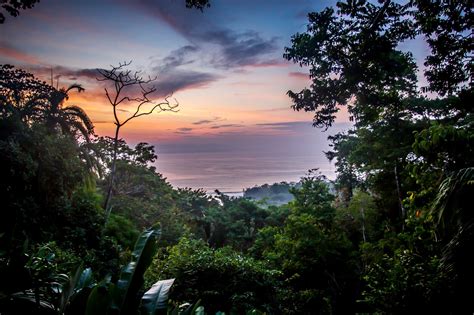 Guide to Osa Peninsula, Costa Rica | Costa rica honeymoon, Costa rica travel, International ...