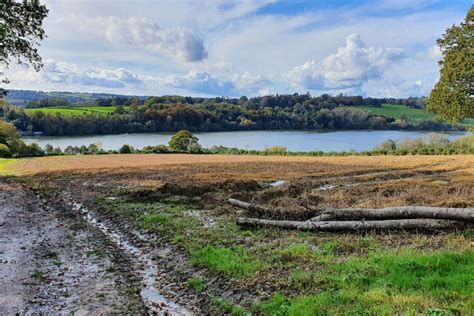 Ardingly Reservoir, West Sussex | Fishery Guide