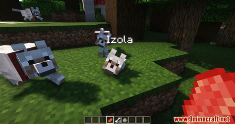 Pet Names Mod (1.19.2, 1.18.2) - Make Pets More Memorable - Mc-Mod.Net