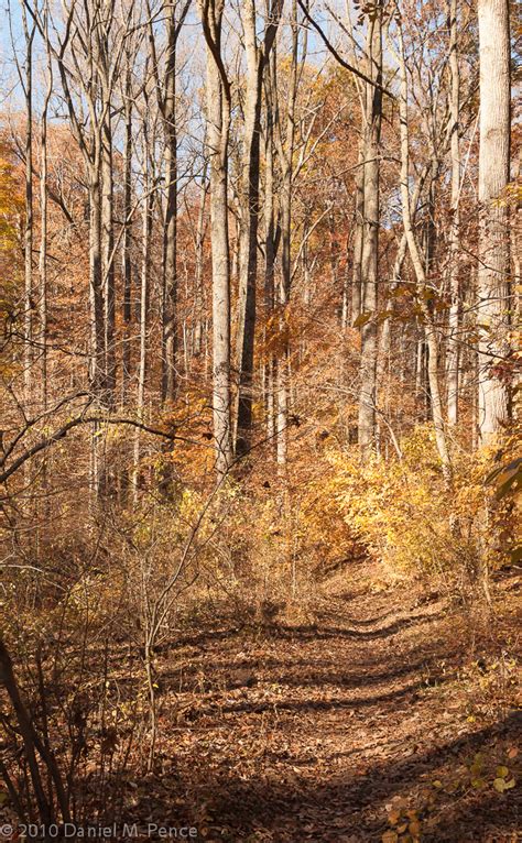 Rock Creek Park – Fall Colors | Dan Pence Photography