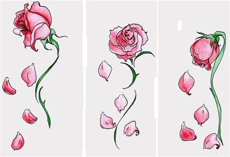 Falling petals tat idea | Rose sketch, Roses drawing, Rose tattoos