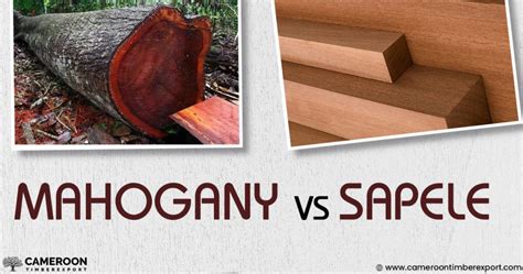 Mahogany vs Sapele: Comparison Based On Properties & Uses