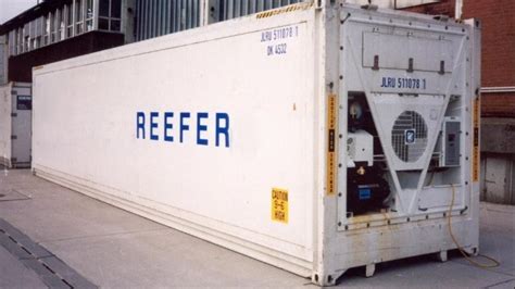 Reefer Shipping is Outpacing Dry Cargo and Growing Container Trade