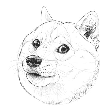 Such Tutorial, Many Fun: How to Draw Doge!