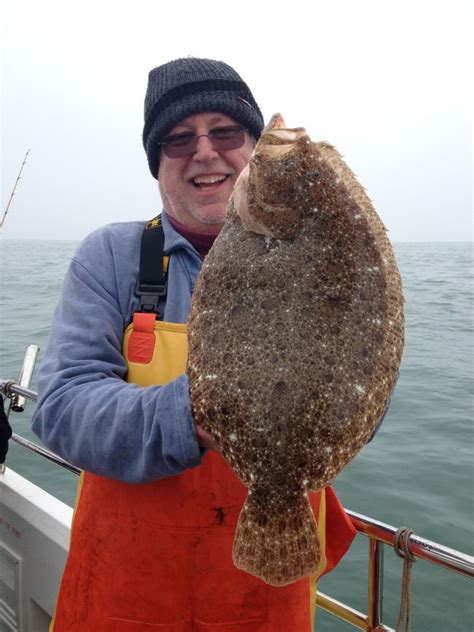 Brill - Fish ID Pictures - Poole Bay Small Boat Angling Club