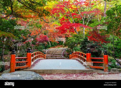 beautiful Japanese garden with traditional bridge, autumn travel ...