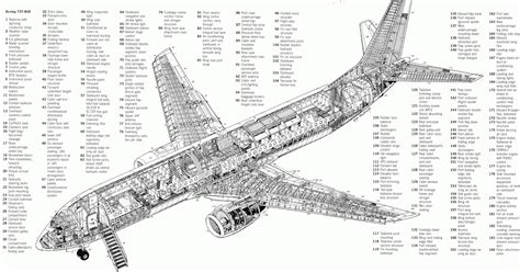 Boeing 737-800 Cutaway ~ World Stewardess