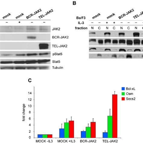 TG101209, a JAK2 inhibitor, down-regulates JAK2, BCR-JAK2, and STAT5... | Download Scientific ...