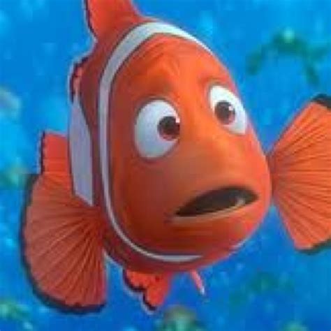 20 best Nemo's Dad images on Pinterest | Finding nemo 2003, Disney ...