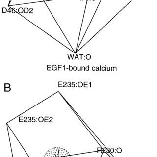 The final zymogen structure coordination spheres of the high affinity... | Download Scientific ...