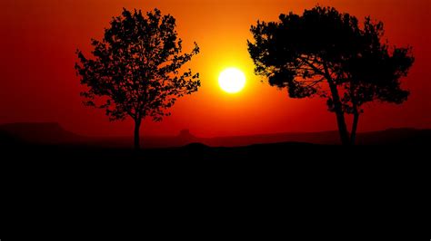 Download Sunset, Trees, Silhouette. Royalty-Free Stock Illustration ...