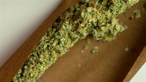 Joint vs Blunt - Learn the Differences, Uses, and Pros & Cons