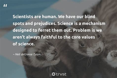 10 Ferret Quotes About The Stealthy Mustelids