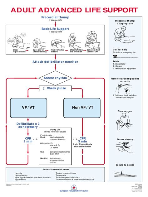 Adult Advanced Life Support: Precordial Thump | PDF