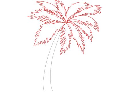 How to Draw a Palm Tree | Design School