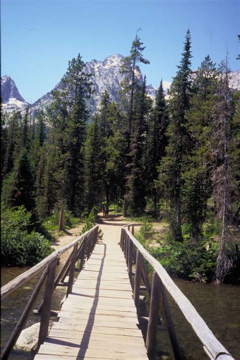 Free picture: forest, grand, Teton, national park