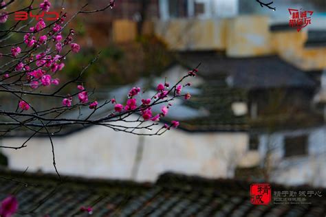 Capture the beautiful scenery and freeze Wuyuan-BYD sincerely serves ...