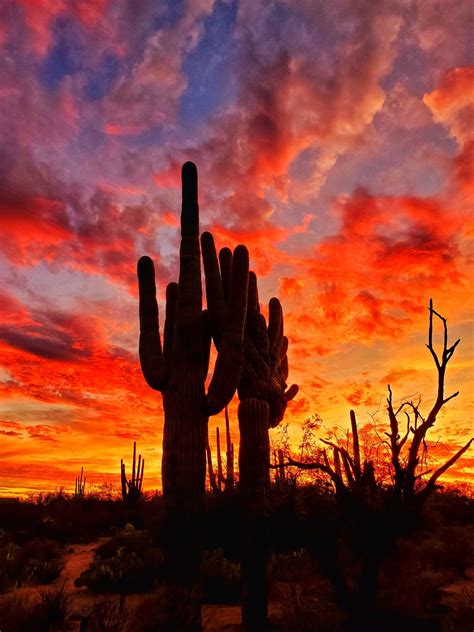 The beauty of the sunset in the American desert is some of my favorite landscape scenes ...