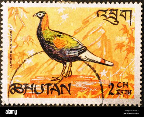 Beautiful pheasant on postage stamp of Bhutan Stock Photo - Alamy