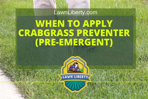 When To Apply Crabgrass Preventer (Pre-Emergent) - Lawn Liberty