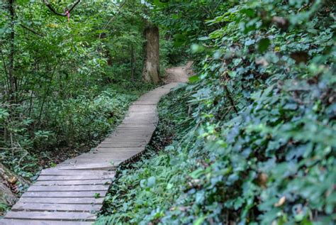 8 Best Trails In Richmond VA For Hiking, Running & Walking