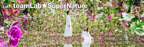 teamLab SuperNature Macao | Entertainment | The Venetian Macao