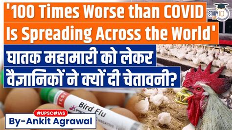 Deadly H5N1 Virus- 100 Times Worse than COVID is Spreading Across the ...