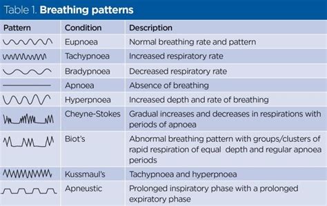 2 Words to Describe the Rhythm of Respirations