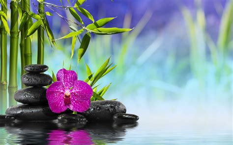 Select Your Choice for Spa | Stone wallpaper, Orchids, Zen