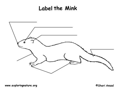 Mink Labeling Page