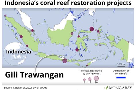 Community-Led Coral Reef Restoration Project Is Rare Hit Amid Slew of ...