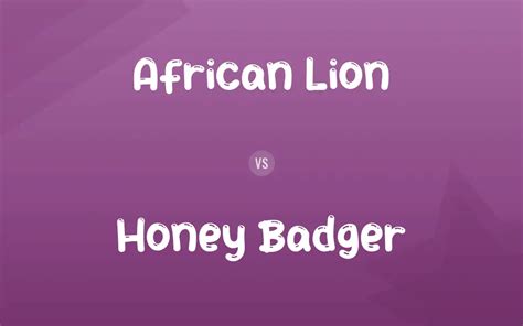 African Lion vs. Honey Badger: Difference and Comparison Wiki