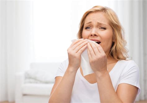 Indoor Allergens That You Didn't Know Caused Your Sinus Misery