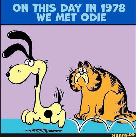 Odie memes. Best Collection of funny Odie pictures on iFunny