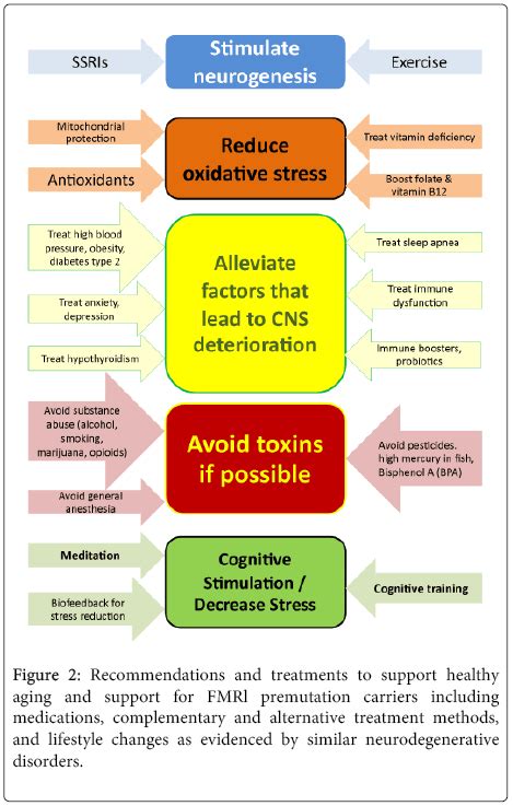 Molecular Advances Leading to Treatment Implications for Fragile