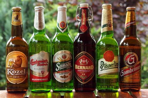 FREE IMAGE: Czech Beer | Libreshot Public Domain Photos