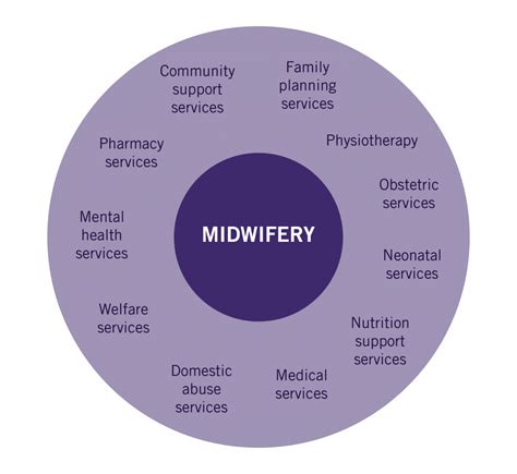 Midwifery Matters – Comprehensive Midwifery: The role of the midwife in ...