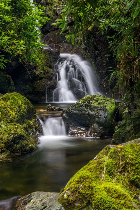 Waterfall Ireland Tollymore Forest | Waterfall, Irish landscape, Forest ...