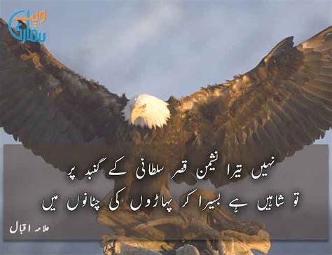 Allama Iqbal Poetry - Best Iqbal Shayari in Urdu