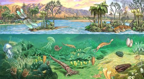 Eras Geologicas: ERA PALEOZOICA | Evolucion de la vida, Paisaje marino ...