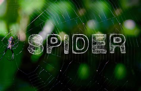 Spider Type - Free Font :: Behance